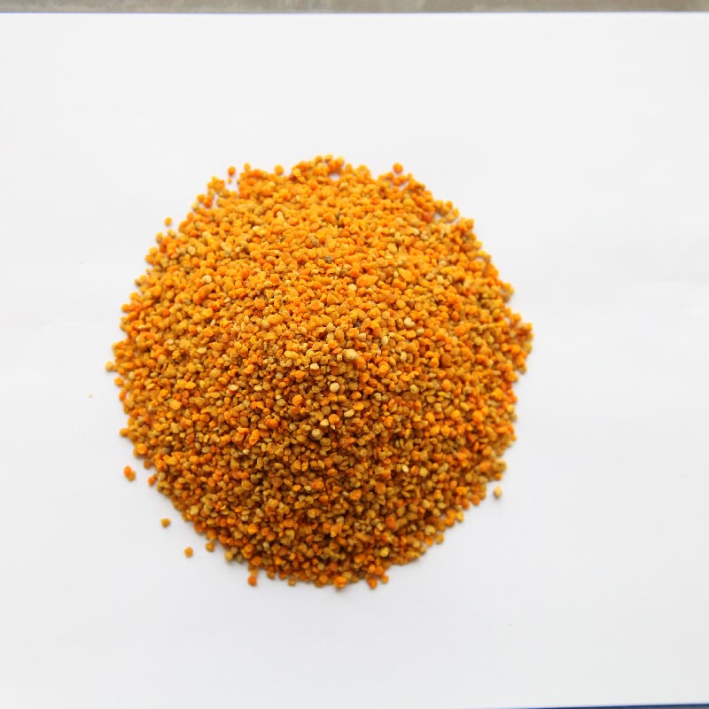 Good Quality Bee Mixed Sunflower Pollen Beekeeping Apiculture Sweet Colorful Sunflower Mixed Bee Pollen with Good Taste