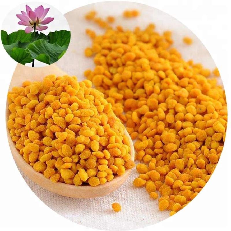 High Organic Pure Natural Fresh Lotus Bee Pollen Natural Fresh Flower