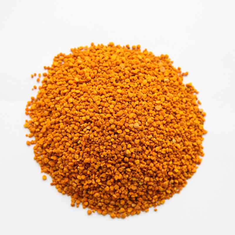 Hot Sale Pure Food Grade Tea Pollen Bee Farm Wholesale Camellia Bee Fresh Flower Pollen Disruption Powder