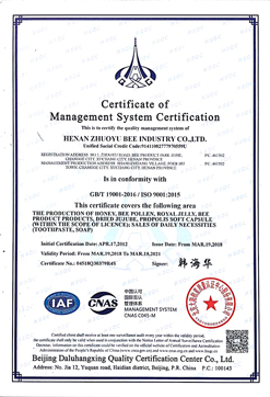 ISO Certification