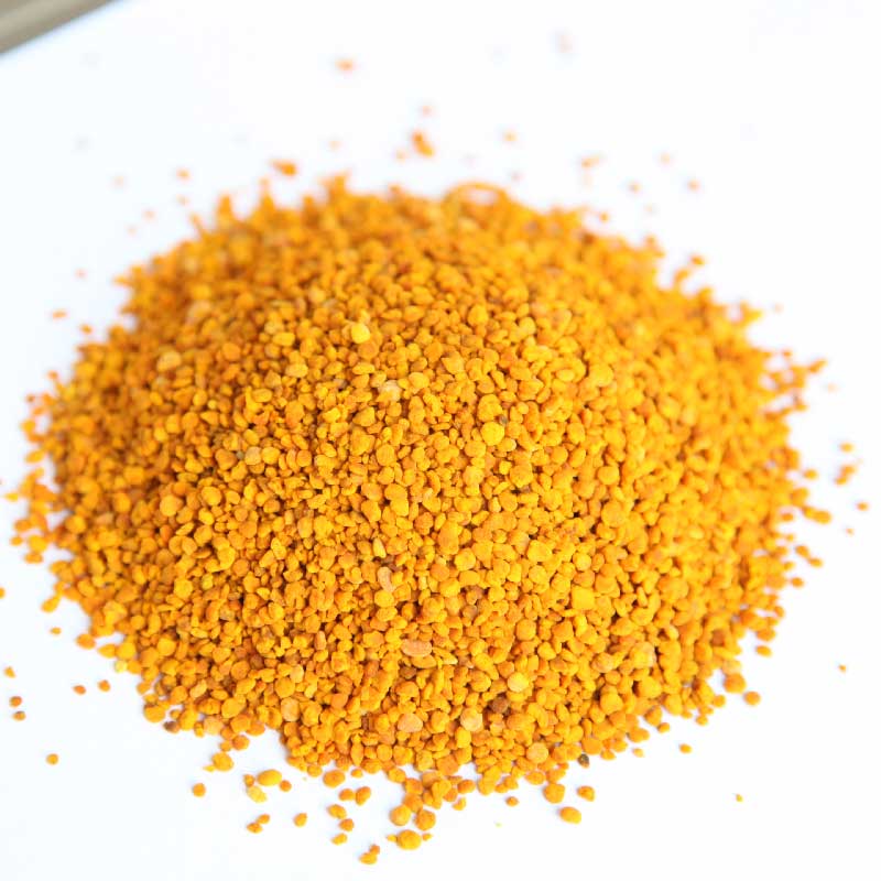 Hot Sale Pure Food Grade Tea Pollen Bee Farm Wholesale Camellia Bee Fresh Flower Pollen Disruption Powder