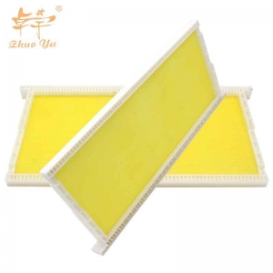 Hot Sale Beekeeping Frame Sheet Plastic Bee Foundation Langstroth Beehive Bee Frame with Plastic Sheet