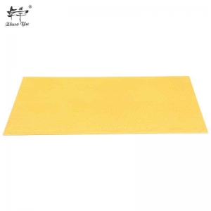 2021 Wholesale Factory Directly Supply Plastic Honey Bees Wax Beeswax Comb Honeycomb Frame Foundation Sheet for Beekeeping
