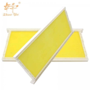 plastic-beehive-frame-with-foundation-1 Hot Sale Beekeeping Frame Sheet Plastic Bee Foundation Langstroth Beehive Bee Frame with Plastic Sheet