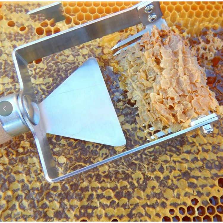 Beekeeping Tools beehive Honey cutter Uncapping Scraper Plastic handle Honeycomb Scraper Equipment Uncapping knife Fork Shovel