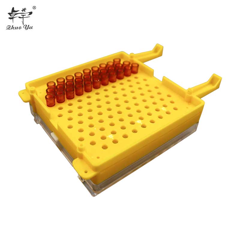 Complete Bee Queen Rearing Kit System Cultivating Box Beekeeping Catcher Tools Cell Cups Plastic Cage Supplies