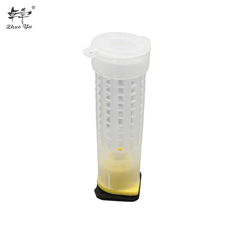 Queen Cage Insects Tools Beekeeping Queen Plastic Cells Bees Box Cell Cup Holder and Cell Fixtures Beekeepers Equipment