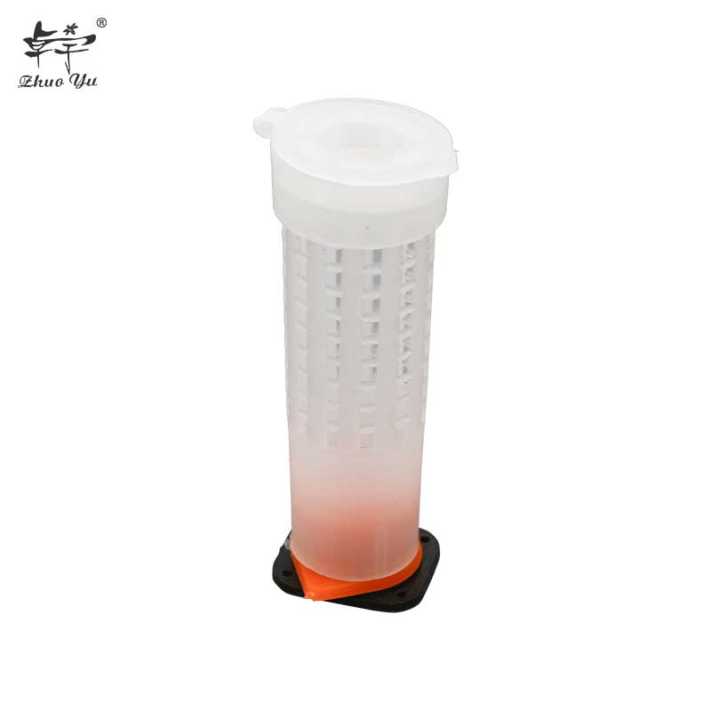 Queen Cage Insects Tools Beekeeping Queen Plastic Cells Bees Box Cell Cup Holder and Cell Fixtures Beekeepers Equipment