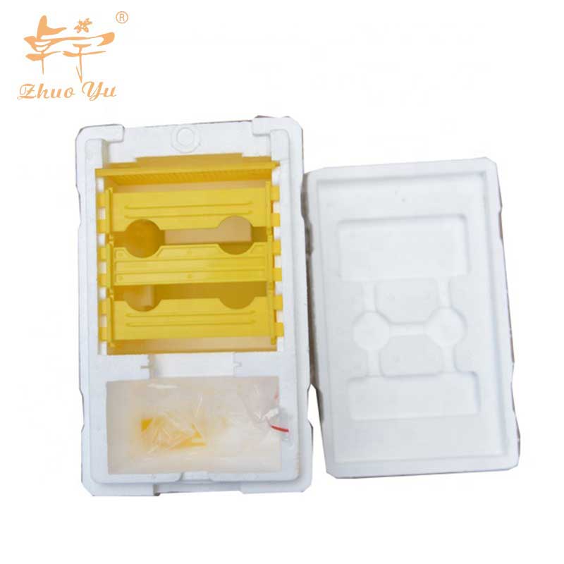 Queen Breeding Box