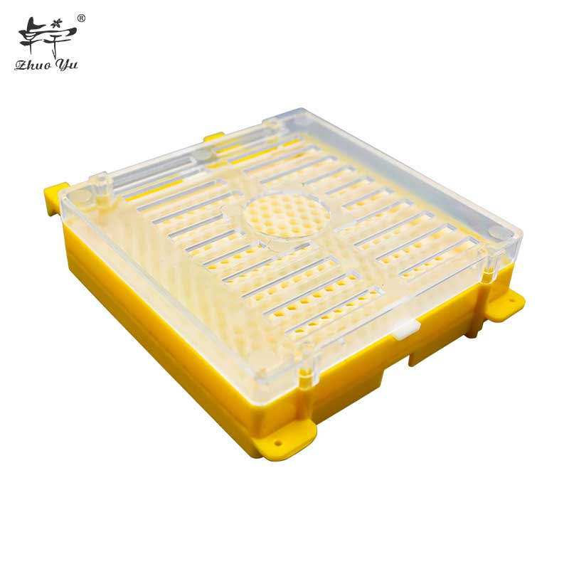 Complete Bee Queen Rearing Kit System Cultivating Box Beekeeping Catcher Tools Cell Cups Plastic Cage Supplies