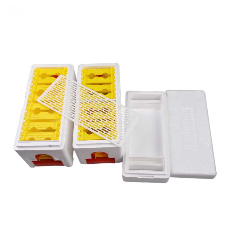 Queen Bee Double Mating Box Plastic Polystyrene Pollination Box Queen Breeding Rearing Box Other Animal Husbandry Equipment