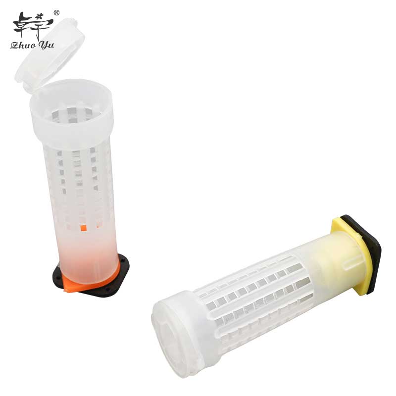 Queen Cage Insects Tools Beekeeping Queen Plastic Cells Bees Box Cell Cup Holder and Cell Fixtures Beekeepers Equipment