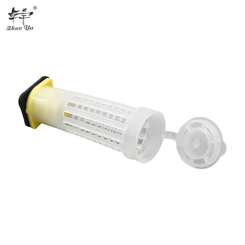 Queen Cage Insects Tools Beekeeping Queen Plastic Cells Bees Box Cell Cup Holder and Cell Fixtures Beekeepers Equipment