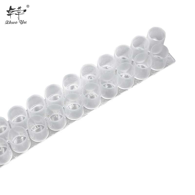 Double Row Queen Cell Cup
