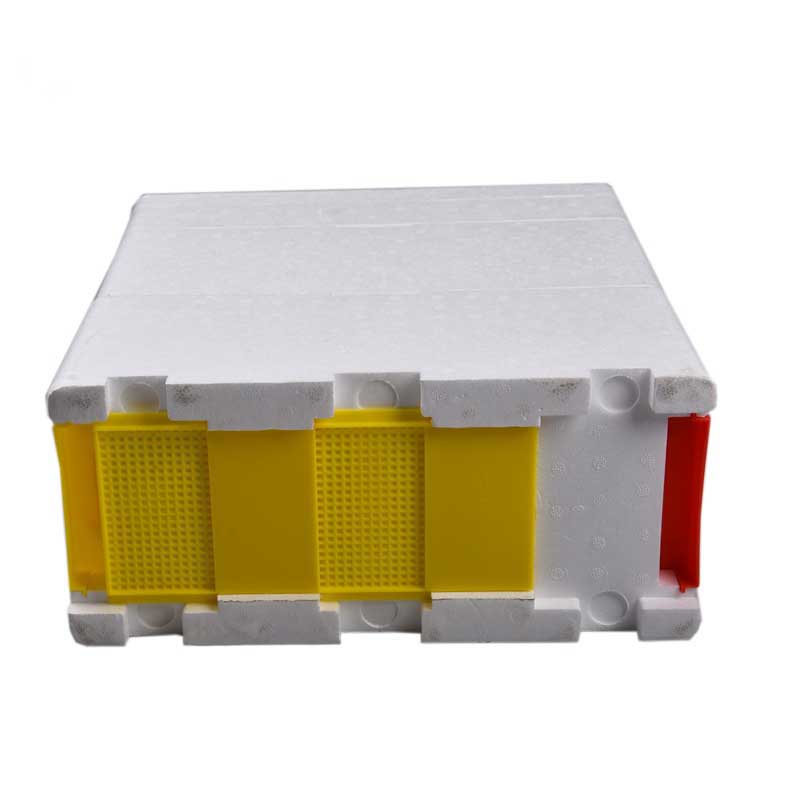 Queen Bee Double Mating Box Plastic Polystyrene Pollination Box Queen Breeding Rearing Box Other Animal Husbandry Equipment