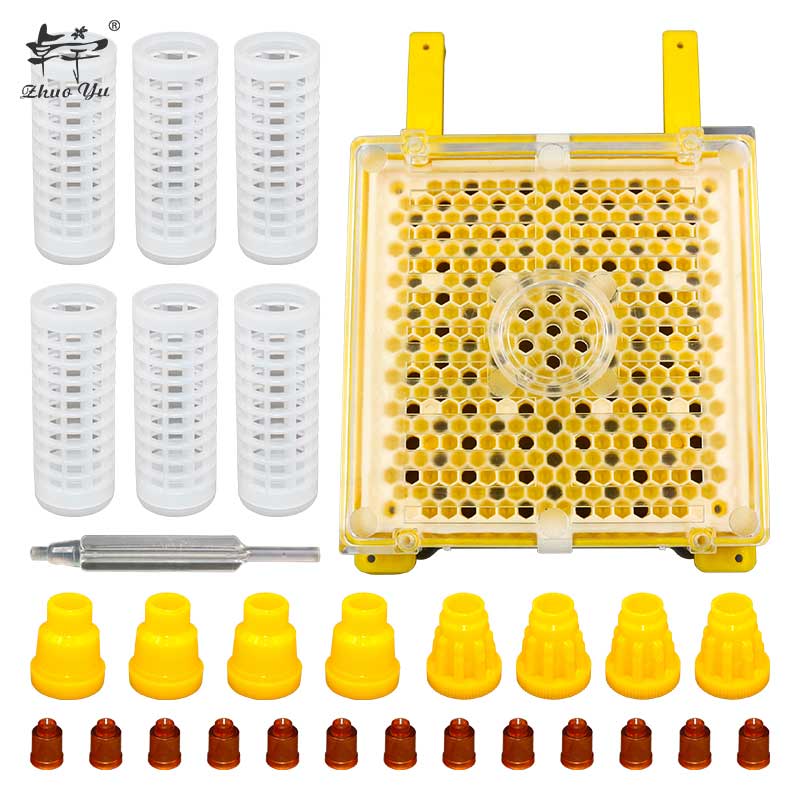 Complete Bee Queen Rearing Kit System Cultivating Box Beekeeping Catcher Tools Cell Cups Plastic Cage Supplies