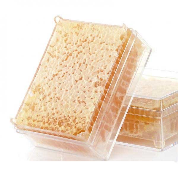 Beekeeping Tool 500g Honey Cassette Plastic Nest Honey Nest Honey Box Nest Removable Clean And Sanitary