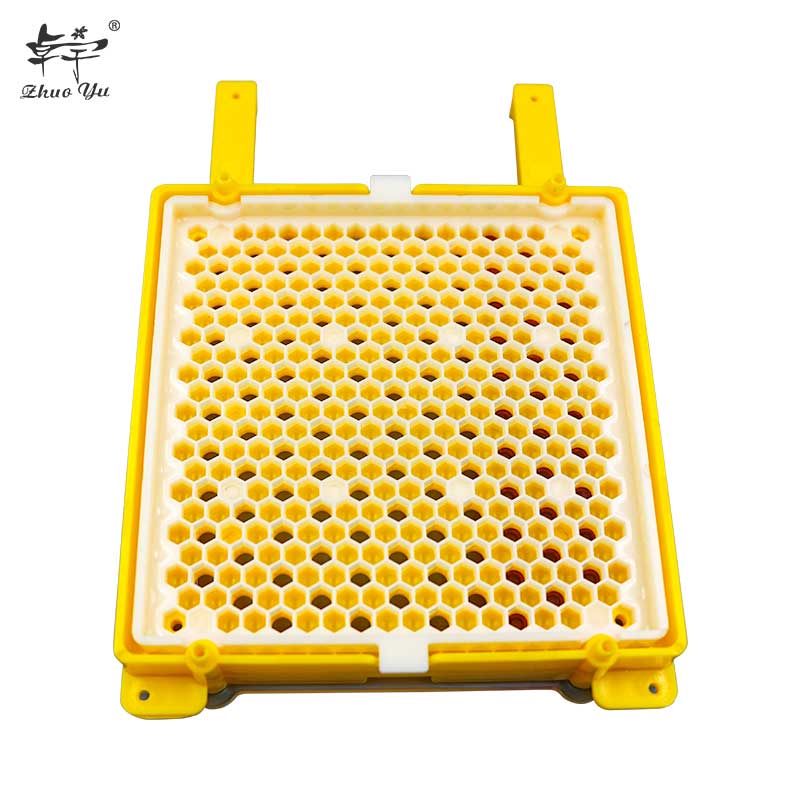 Bee Queen Rearing Kit System