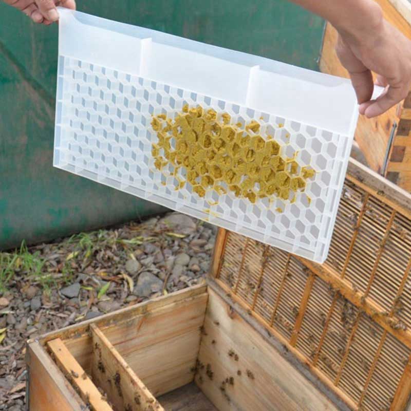 New Type Bee Pollen Multifunctional Feeder Box Porous Plastic Pollen Feeder Beehive Tools Beehive Pollen Feeder