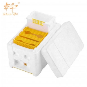 泡沫育王箱-1 Bee Queen Rearing Mating Beehive Nuc Harvest Pollination Bees Hive Box Reserve Beekeeping Tools For Beekeeper Supplies