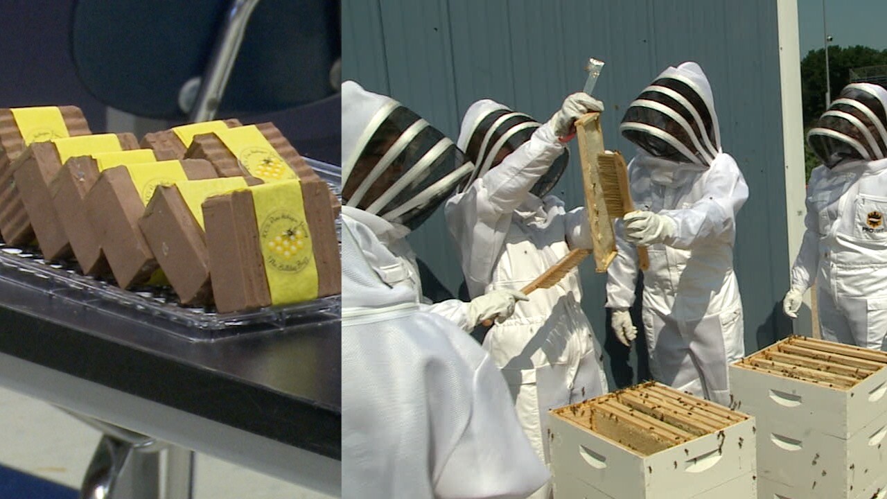 beekeeping