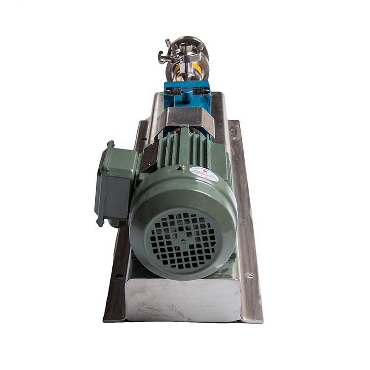 Stainless Steel Screw Pump