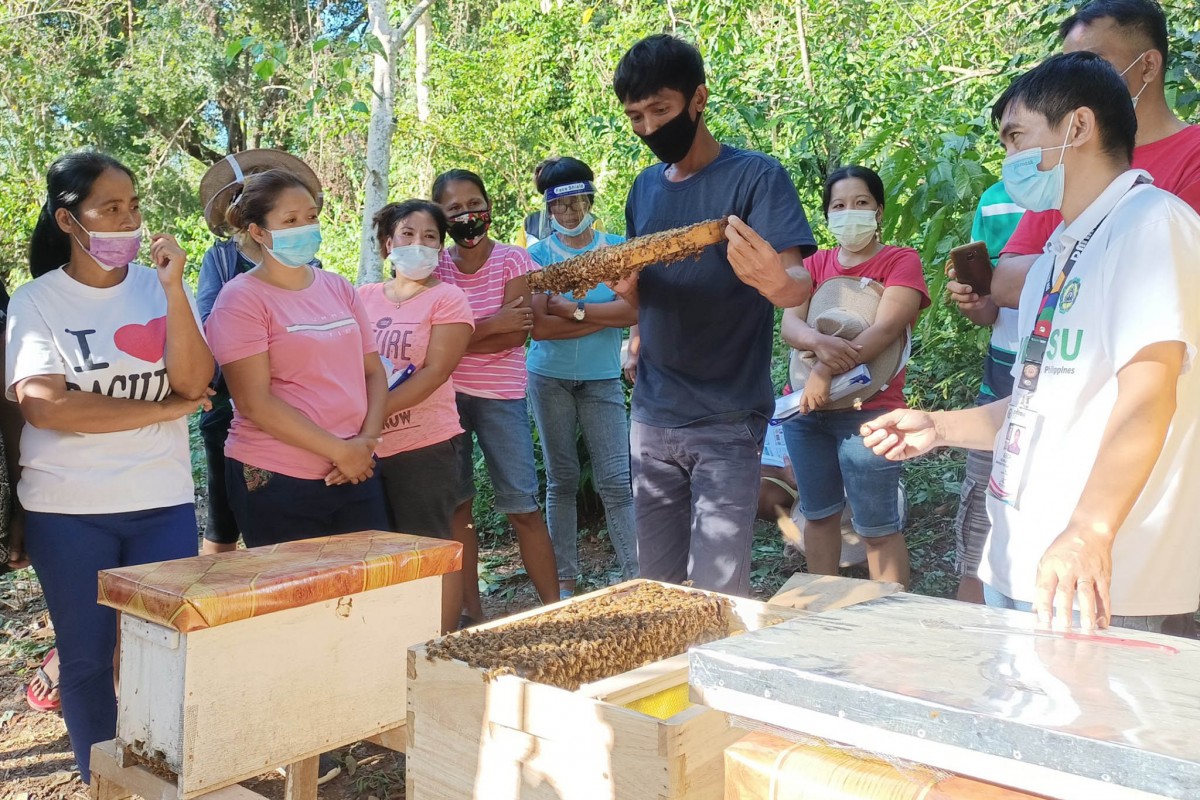 beekeeping mistakes