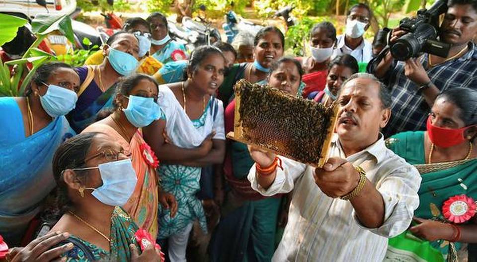 beekeeping