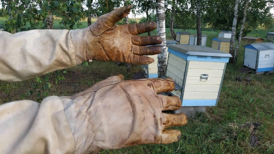 beekeeping gloves