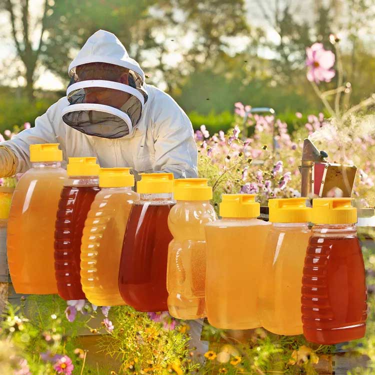 Honey-Bottle-2 Good Quality Food Grade PET Soft Honey Bottle Cap Plastic Honey Squeeze Bottle For Sale