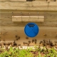 nest-door-entrance-1