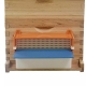 pollen-trap-1