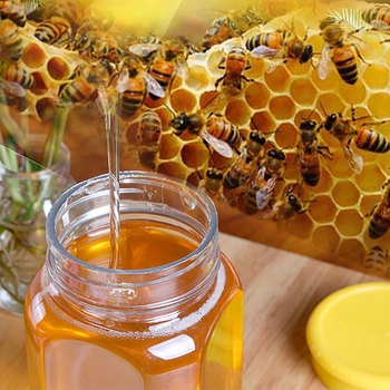 bee product