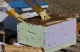 beekeeping
