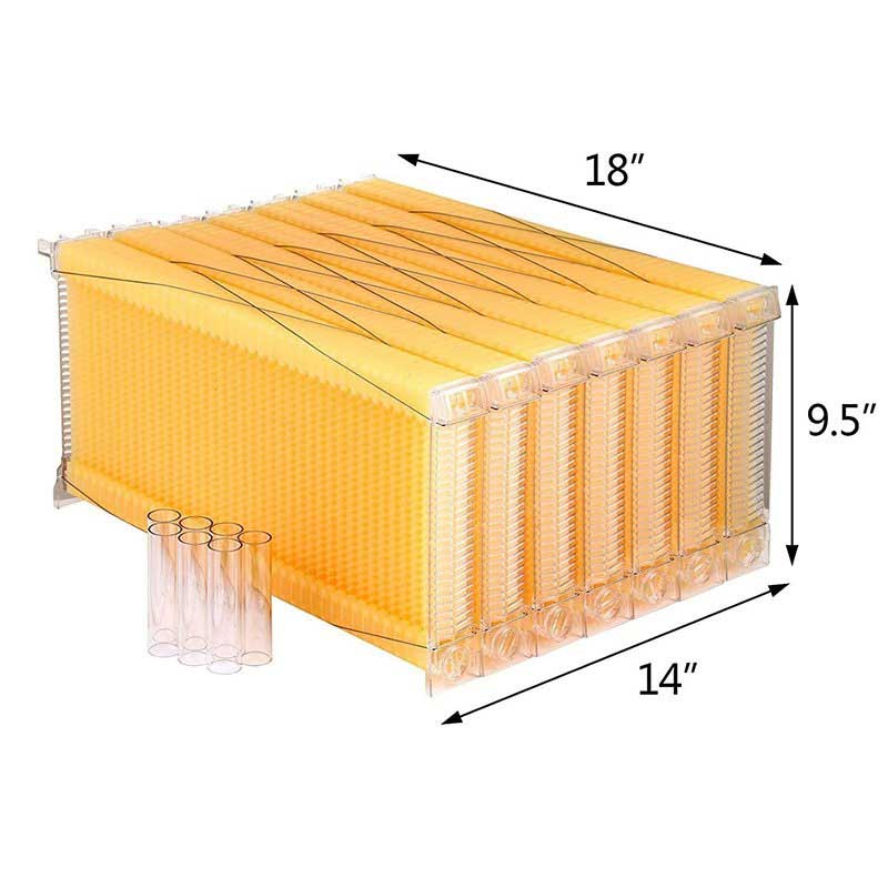 Chinese Automatic Self-Flowing Beehive Frames