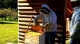 beekeeping-1