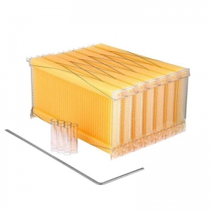 Auto-Flow-Beehive-Frame-6 Chinese Automatic Self-Flowing Honey Bee Hive Frames Set Apiculture Equipment Beekeeping Beehive Tools Supply Colmena Apicultura