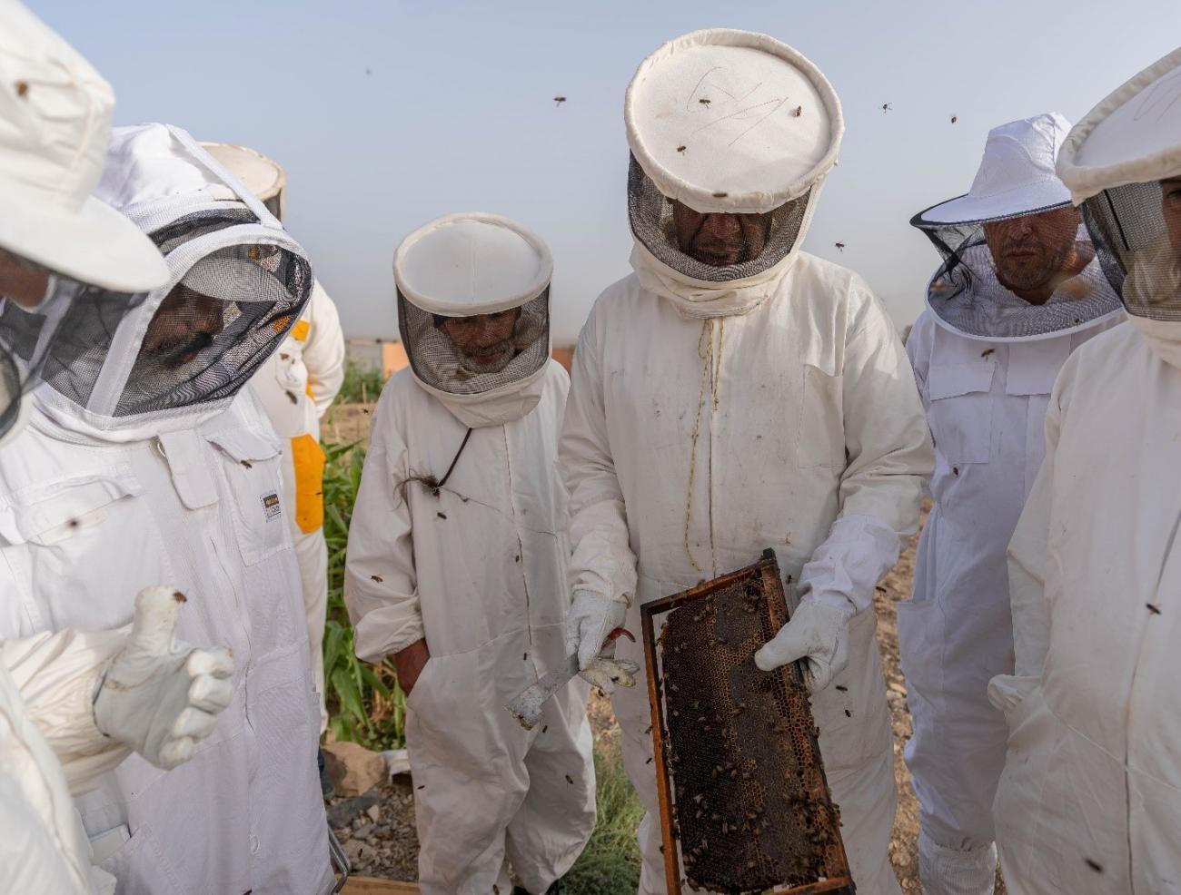 beekeeping