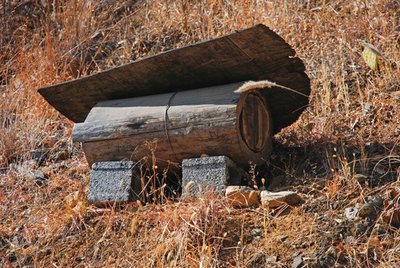 beekeeping